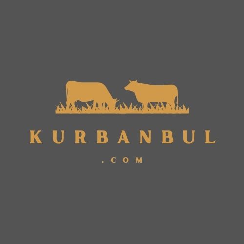 kurbanbul.com