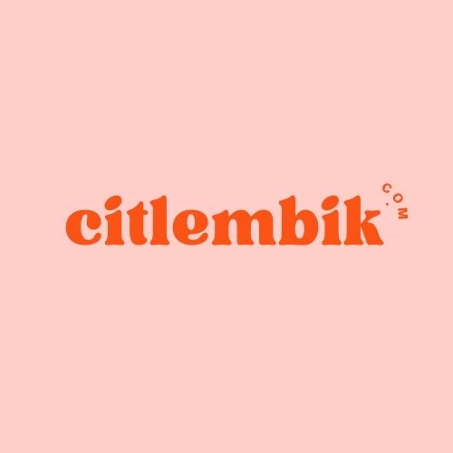 citlembik.com